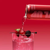LVL UP HYDRATION ONTHEGO MIX BERRY 330ML (12 PACK)