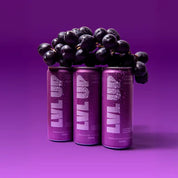 LVL UP HYDRATION ON THE GO GRAPE 330ML (12 PACK)
