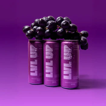 LVL UP HYDRATION ON THE GO GRAPE 330ML (12 PACK)